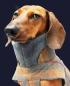 Preview: Cloud7 Hundemantel Brooklyn Waxed Tartan